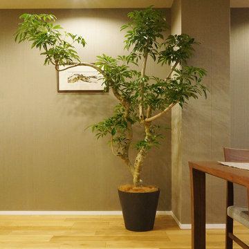 Plants.L