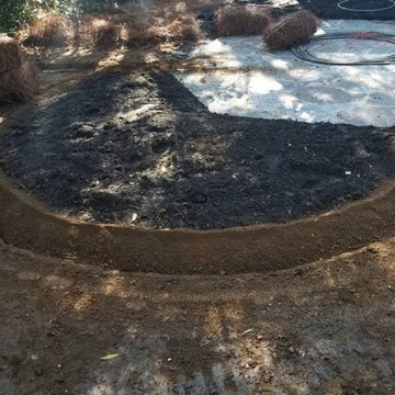 Proper Beds