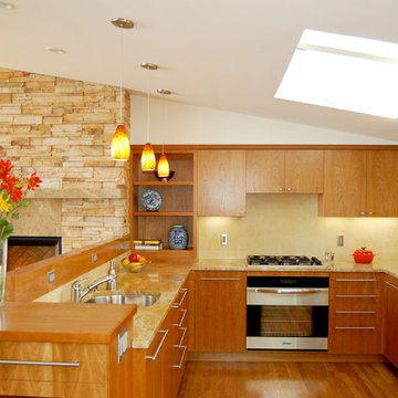 Berkeley Hills Remodel