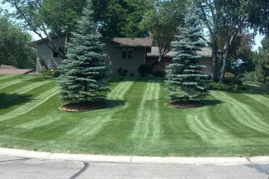Photo of a traditional landscaping in Minneapolis.