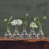 Quintuplet Set Of Five Joined Glass Posy Vases