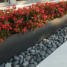 Landscaping ideas