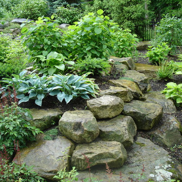 Brecksville Backyard