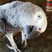 Shar Kennett's photo