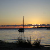 mcflanagan's photo