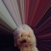 Jacqueline Timarys foto