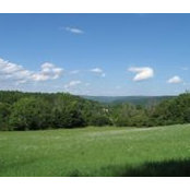 Susan Borghi's photo