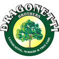 Dragonetti Brothers Landscapes's profile photo