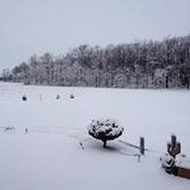 Shelly Tabbert's photo