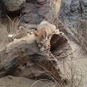 Jen Mitchell's photo