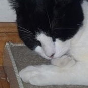 Eileen Maloney's photo