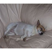 Terryl Aichele's photo