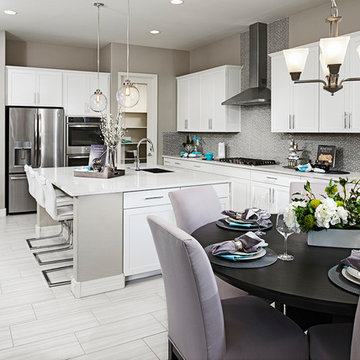 Dominic model home in Arizona