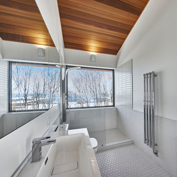 Laurentian Ski Chalet