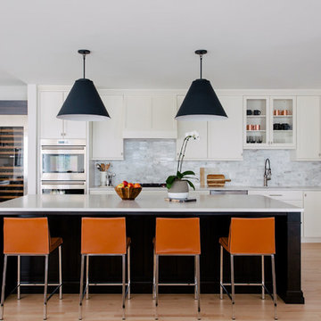 Streeterville Remodel