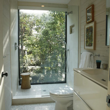 Pines Fire Island
