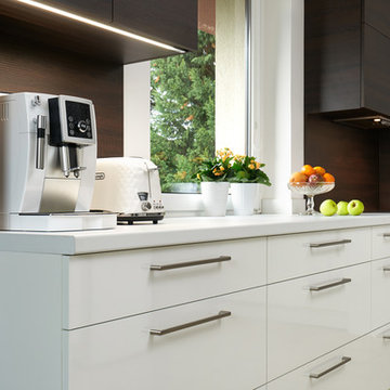Modern kitchen LINE in family house
