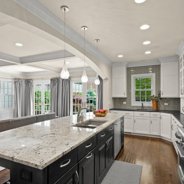 Extraordinary transitional home renovation
