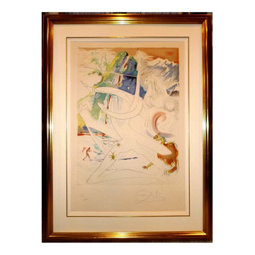 Salvador Dali Re-Framing Project