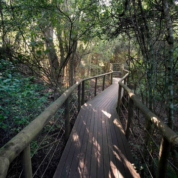 Tsala treetop Lodge and Zinzi restaurant