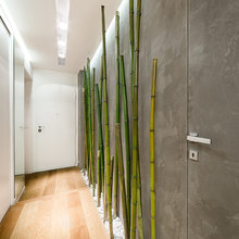 ENTRADA (IDEAS)