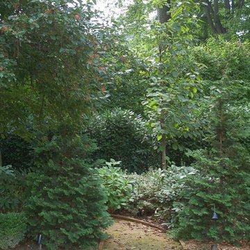 Main Line Garden