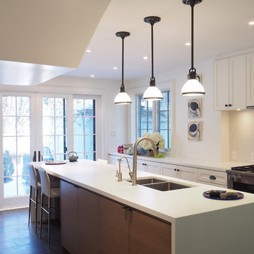Midtown Toronto Kitchen