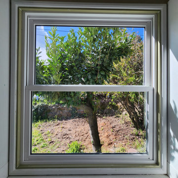 Windows & Beyond - Custom Window Projects