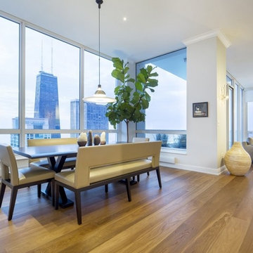 Chicago Condominium