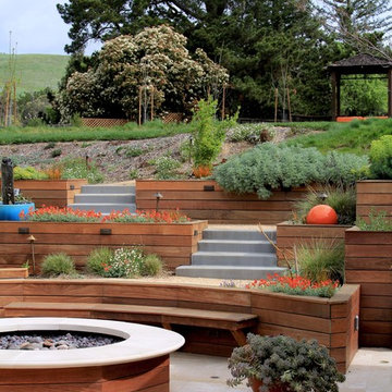 Lafayette Hillside Garden and Patio Retreat