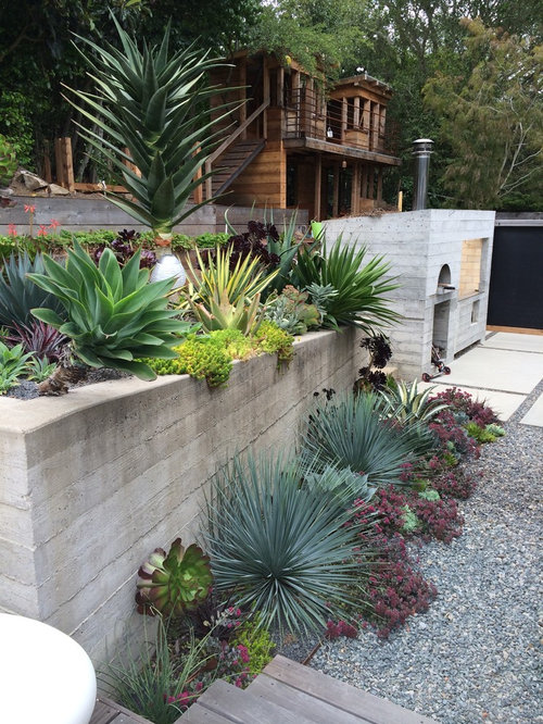 Low Maintenance Landscaping | Houzz