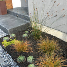 Back House Landscape