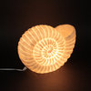 White Sandstone Finish Nautilus Shell Coastal Art Accent Table Lamp 10 Inches H