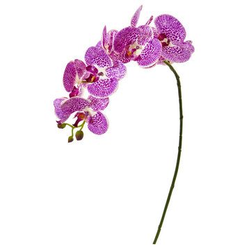 30" Phalaenopsis Orchid Artificial Flower, Set of 6, Purple Cream