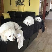 Lori Axler's photo