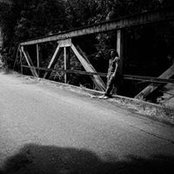 Luis Vale's photo
