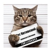 Павелさんの写真