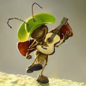 C Frunza's photo