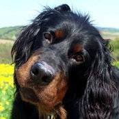 Foto de Oh Oh Uschi
