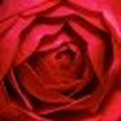 Julie Magnuson's photo