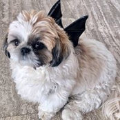 Landy Kermode's photo