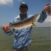 Bobby Frederick's photo