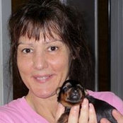 Bonnie Johnson's photo