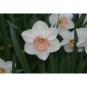 Noelle Henderson's photo