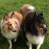 Deb Levesque's photo