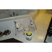 Jan Beasely's photo