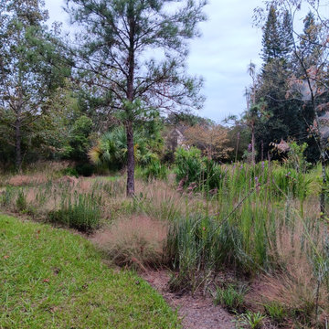 Native Florida Meadow
