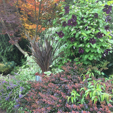 A plant lover's paradise