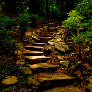 Pathways