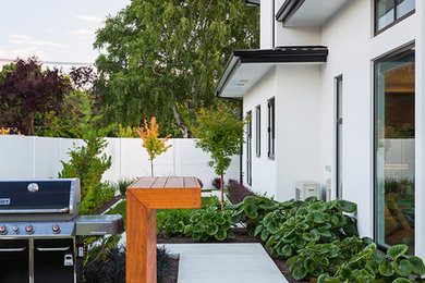 Mid-sized modern side yard full sun garden in Christchurch with a garden path and concrete pavers for summer.